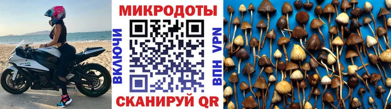 Галлюциногенные грибы Magic Shrooms  Купить закладки  Верещагино 